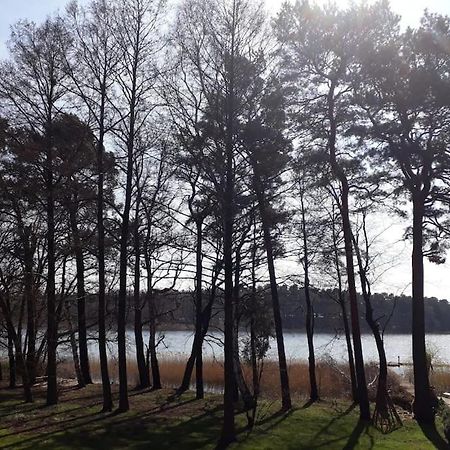 Haus Wilma Gruene Idylle Im Wald Direkt Am See Wendisch Rietz Εξωτερικό φωτογραφία