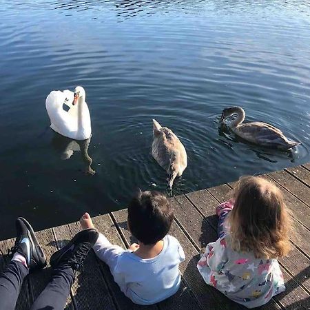 Haus Wilma Gruene Idylle Im Wald Direkt Am See Wendisch Rietz Εξωτερικό φωτογραφία