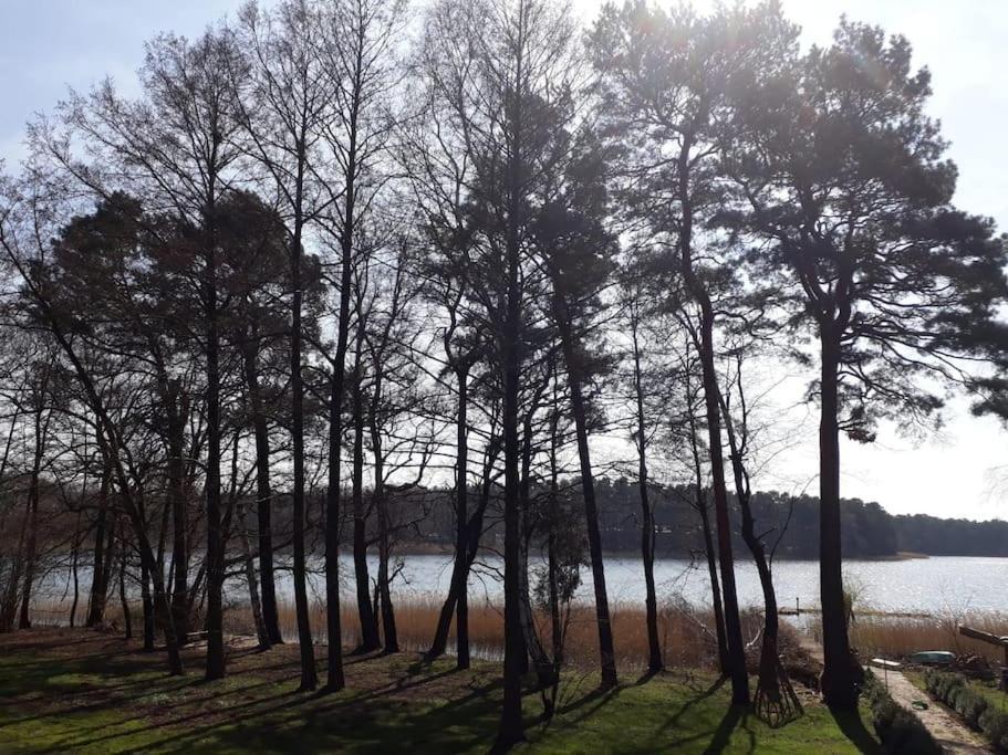 Haus Wilma Gruene Idylle Im Wald Direkt Am See Wendisch Rietz Εξωτερικό φωτογραφία
