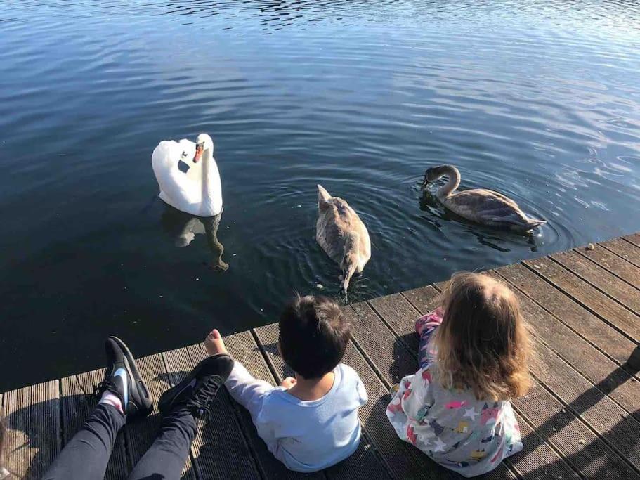 Haus Wilma Gruene Idylle Im Wald Direkt Am See Wendisch Rietz Εξωτερικό φωτογραφία