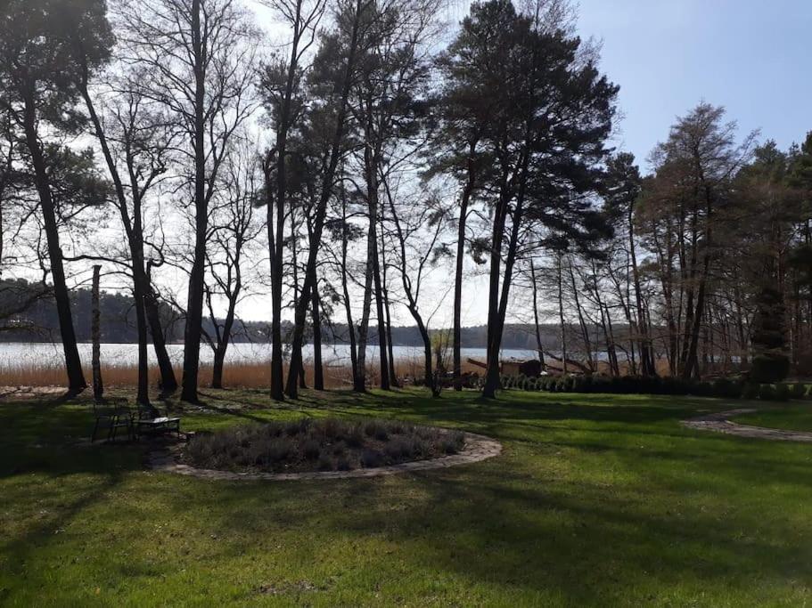 Haus Wilma Gruene Idylle Im Wald Direkt Am See Wendisch Rietz Εξωτερικό φωτογραφία