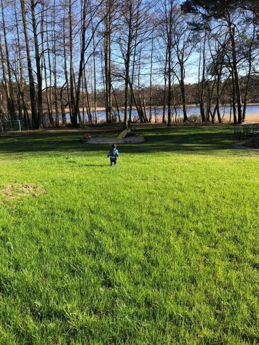 Haus Wilma Gruene Idylle Im Wald Direkt Am See Wendisch Rietz Εξωτερικό φωτογραφία
