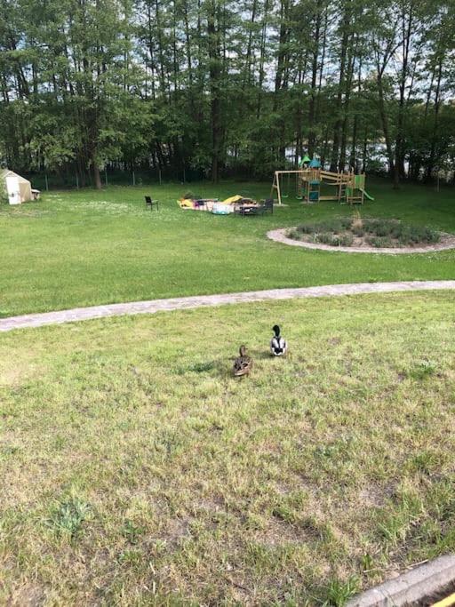 Haus Wilma Gruene Idylle Im Wald Direkt Am See Wendisch Rietz Εξωτερικό φωτογραφία