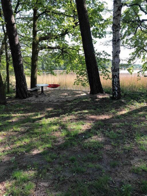 Haus Wilma Gruene Idylle Im Wald Direkt Am See Wendisch Rietz Εξωτερικό φωτογραφία